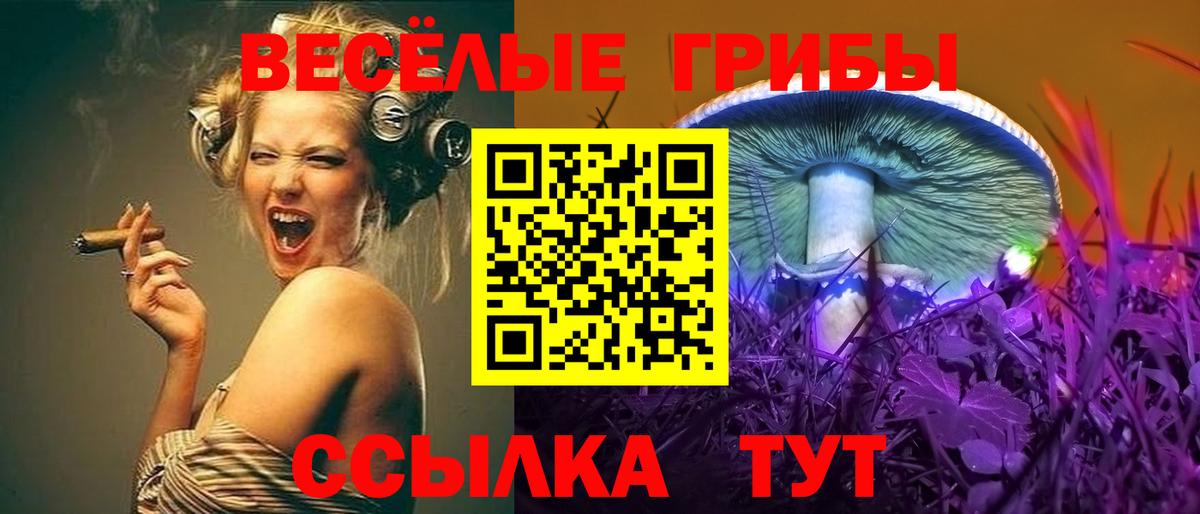 Новосибирск  Псилоцибиновые грибы Psilocybe  Галлюциногенные грибы мухоморы  Вход с VPN 